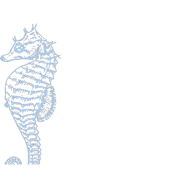 Seahorse PNG Clip art