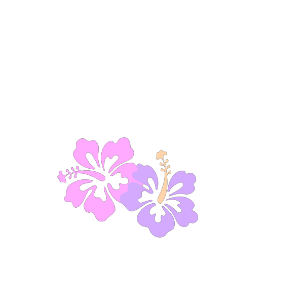 Hibiscus PNG Clip art