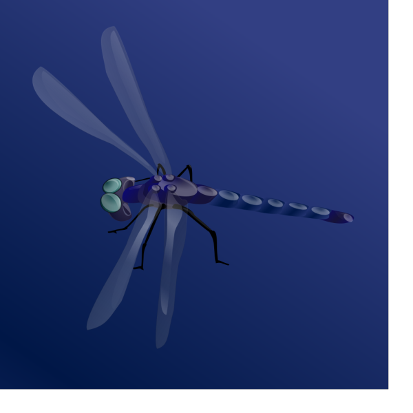 Blue Dragonfly PNG images