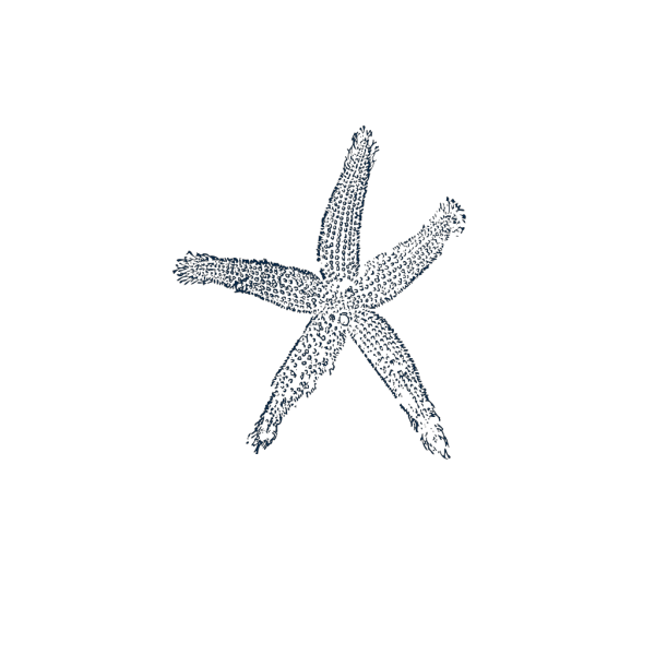 Starfish Prints Single Blue  PNG Clip art