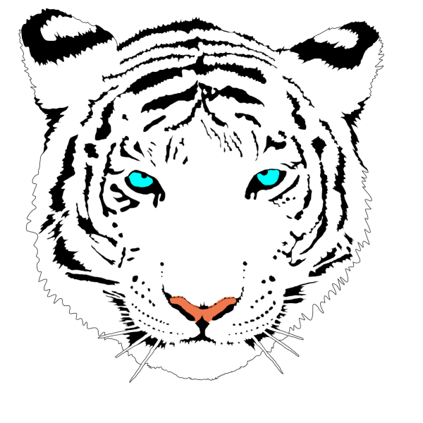 Bengal Tiger (white) PNG Clip art