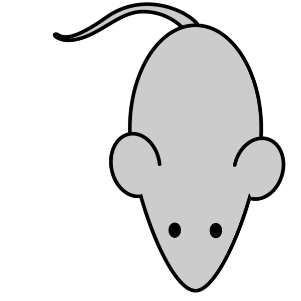 Lab Mouse Template PNG Clip art