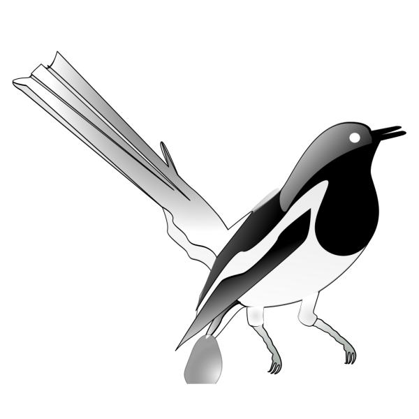 Oriental Magpie Robin PNG Clip art