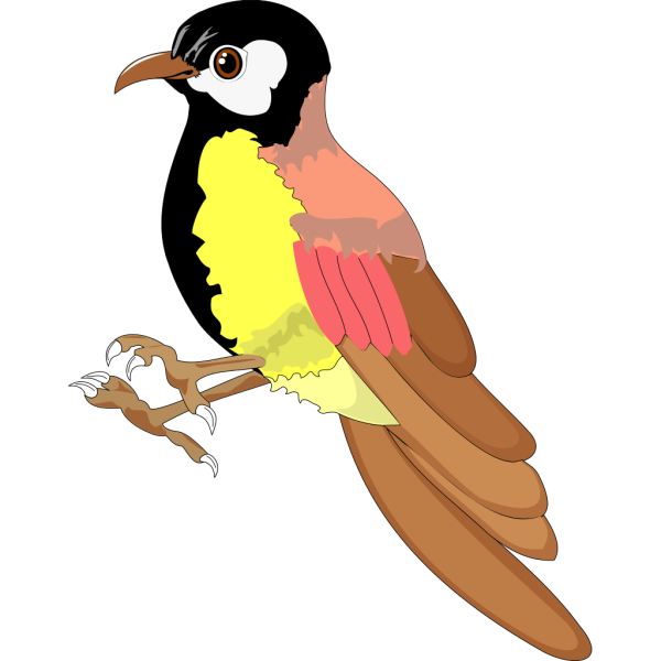 Bird PNG Clip art