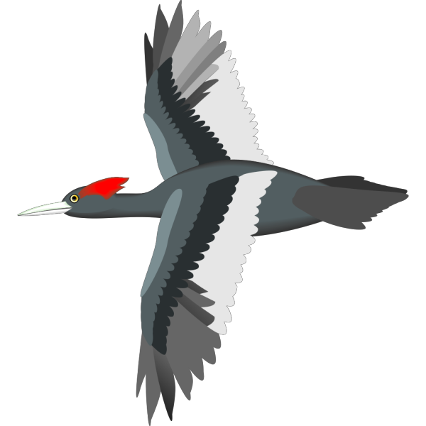 Flying Bird PNG Clip art