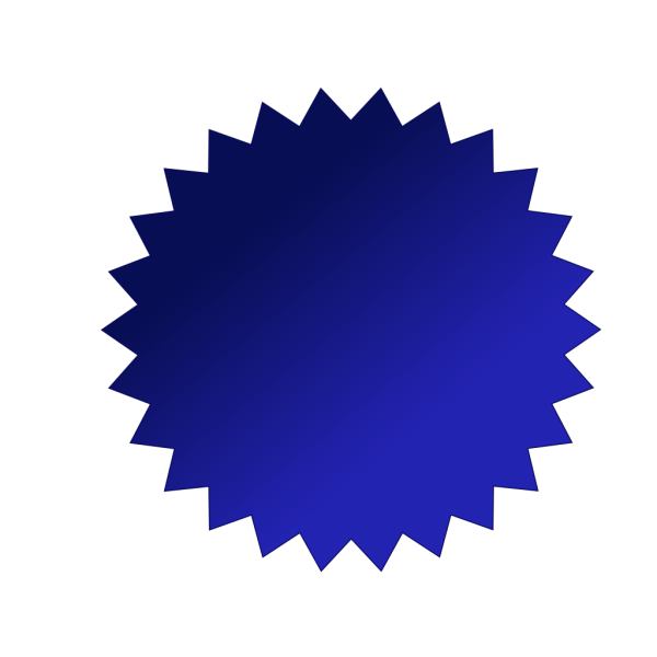 Blue Seal PNG Clip art