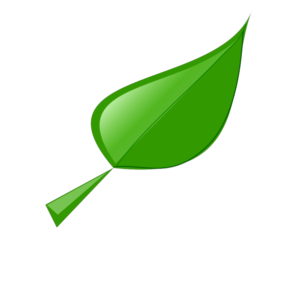 Leaf  PNG Clip art