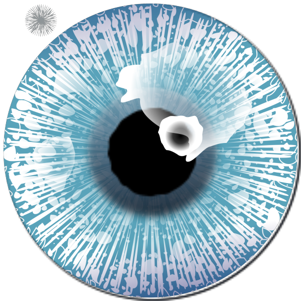 Blue Eye Looks Left PNG Clip art