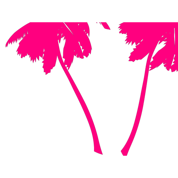 Vector Palm Trees PNG Clip art