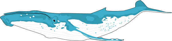 Swimming Whale PNG Clip art