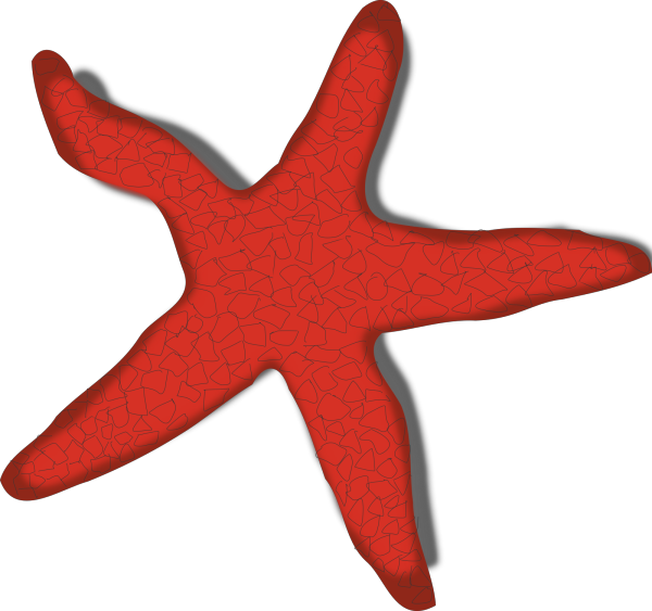 Starfish PNG Clip art