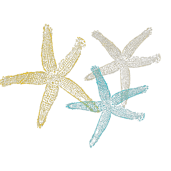 Starfish Prints PNG Clip art