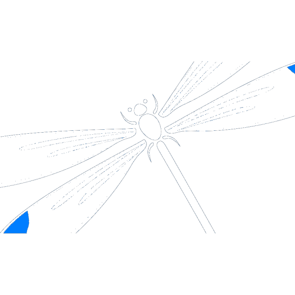 Dragonfly In Flight PNG Clip art