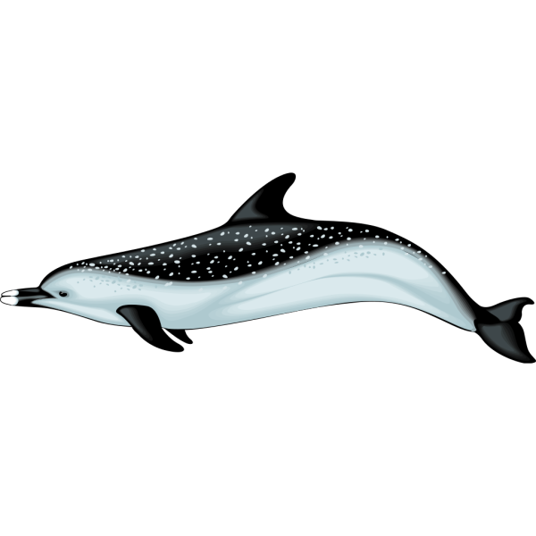 Blue And Black Dolphin With Spots PNG, SVG Clip art for Web - Download