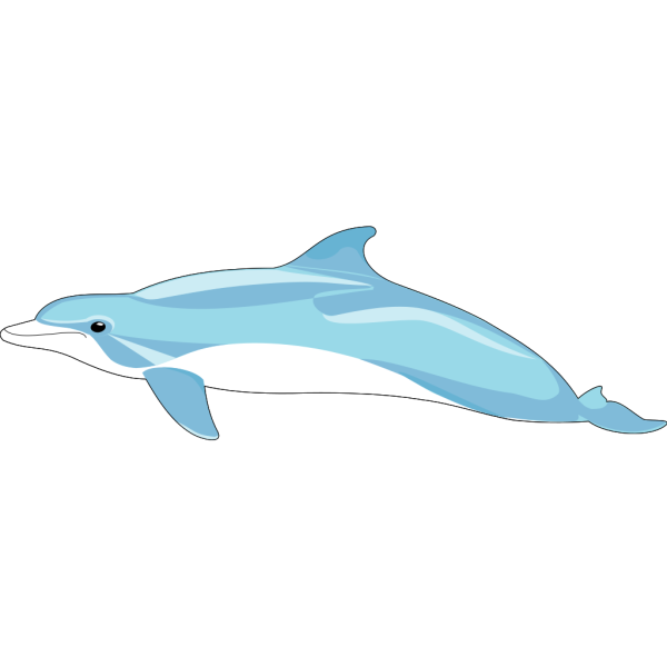 Blue And White Dolphin PNG Clip art