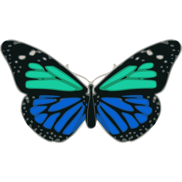 Turquoise And Blue Butterfly PNG Clip art