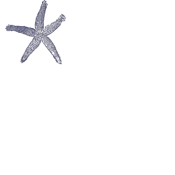 Navy Blue Starfish PNG Clip art