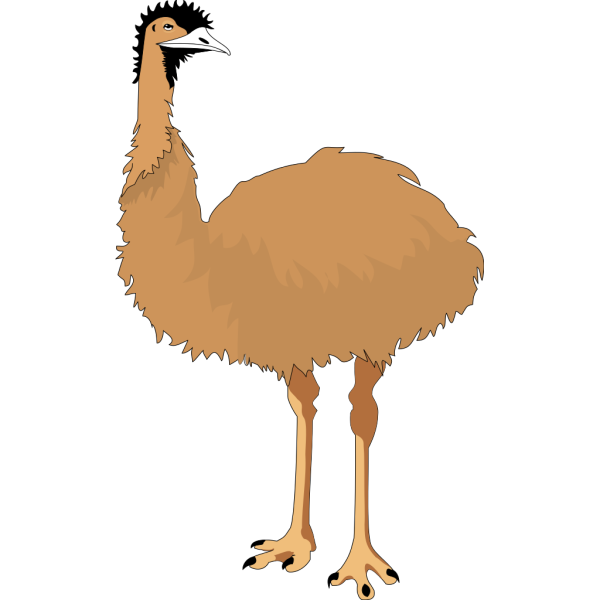 Emu PNG Clip art