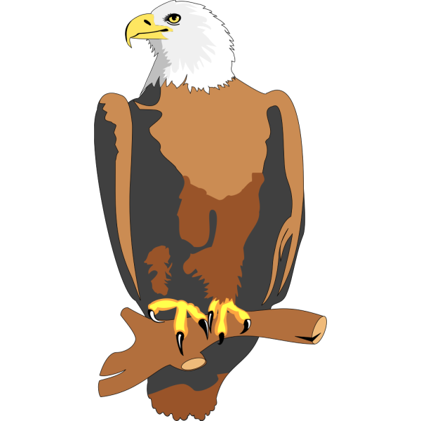 Eagle 19 PNG Clip art