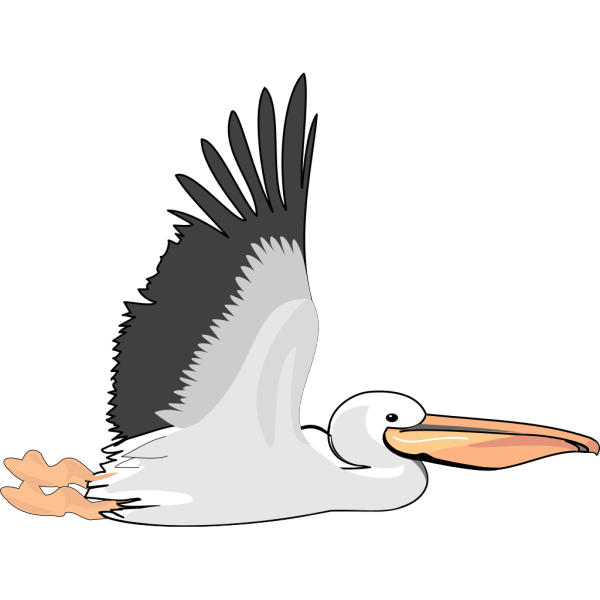 Pelican PNG images