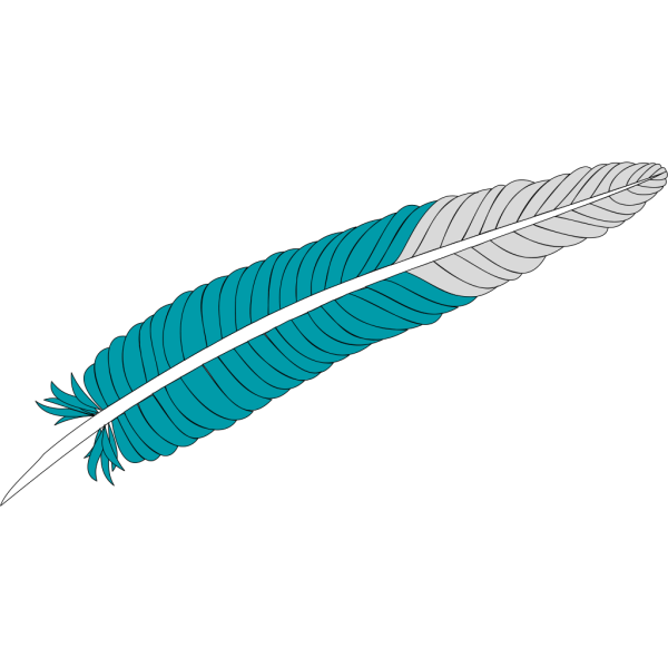 Feather PNG images