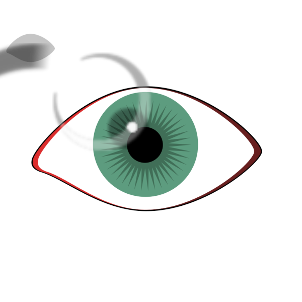 Blue Eye - No Lashes PNG Clip art