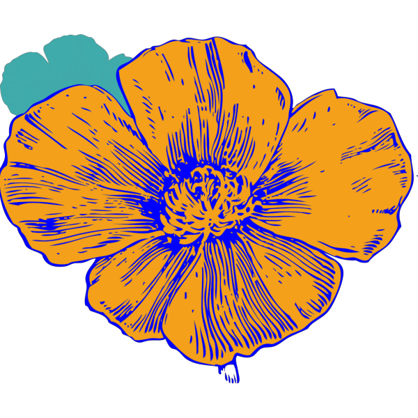 Blue Poppy PNG Clip art