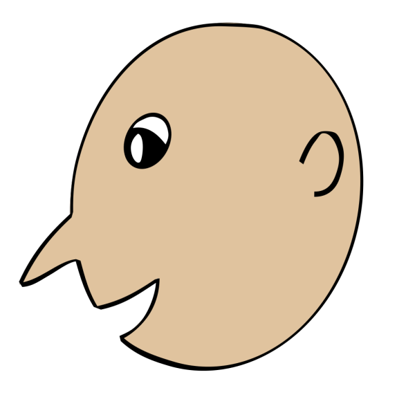 Profile Of A Bird PNG images