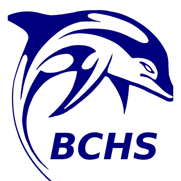 Bchs Dolphin PNG Clip art