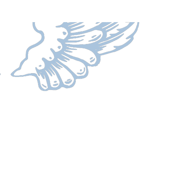 Largeangelwings PNG Clip art