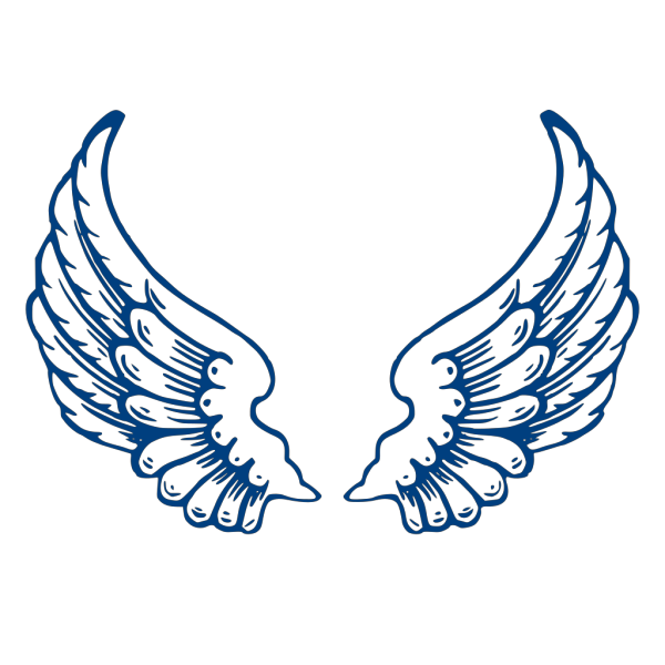 Wings, Blue, Bold PNG Clip art