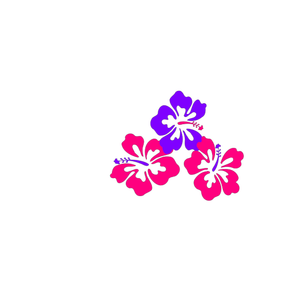 Hibiscus Trio PNG Clip art