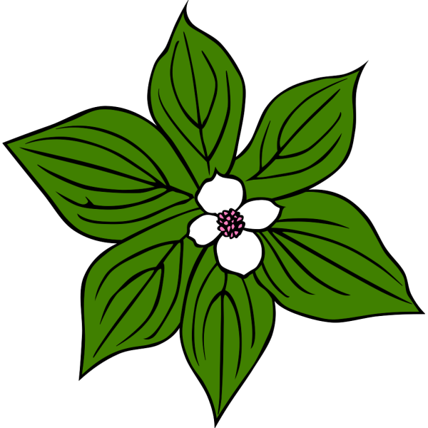 Green Flower PNG Clip art