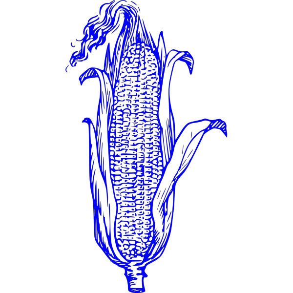 Blue Corn PNG Clip art