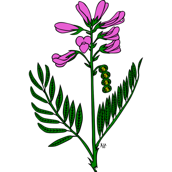 Blue Pink Flower Power PNG Clip art