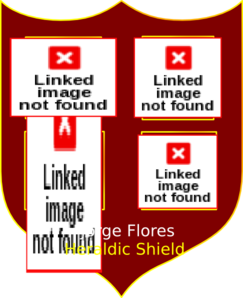 Heraldic Shield  PNG Clip art