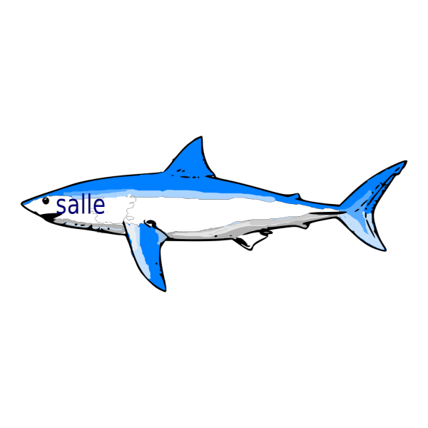 Shark Logo PNG Clip art