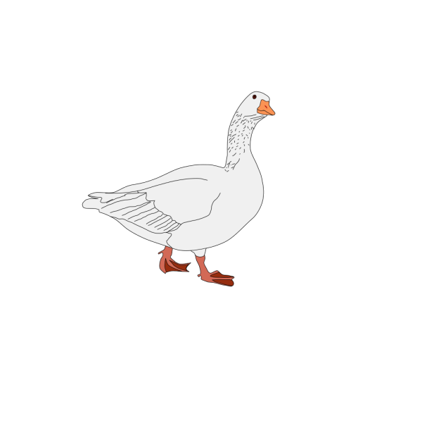 Goose Bird PNG Clip art