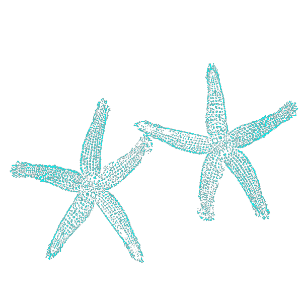 Aqua Blue Starfish PNG Clip art