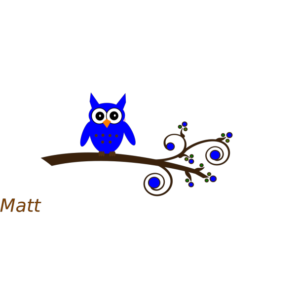 Blue Owl On Branch PNG Clip art