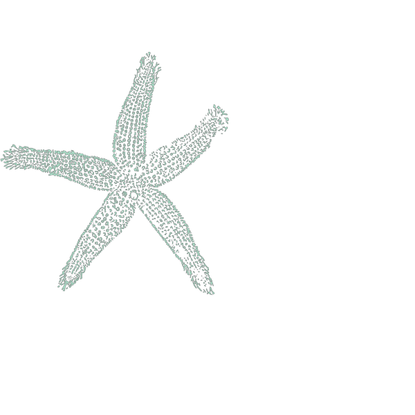 Sea Blue Starfish PNG Clip art