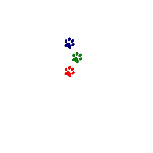 Paws Red Blue Green PNG Clip art