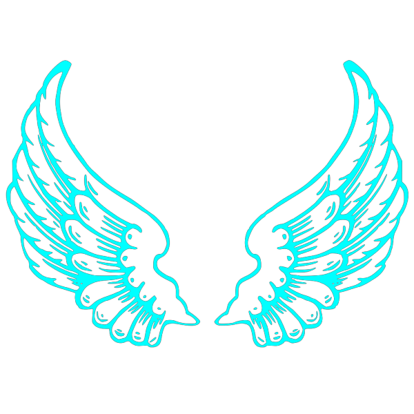 Mybabay Wing PNG Clip art