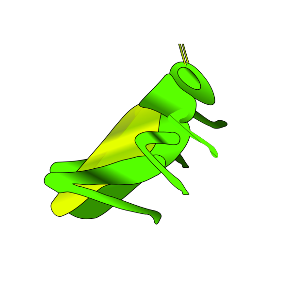 Cricket PNG Clip art