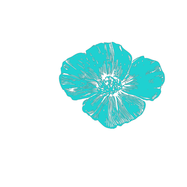 Blue Poppies PNG Clip art