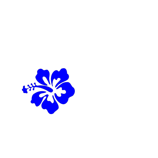 Hibiscus Flowers 2 PNG Clip art