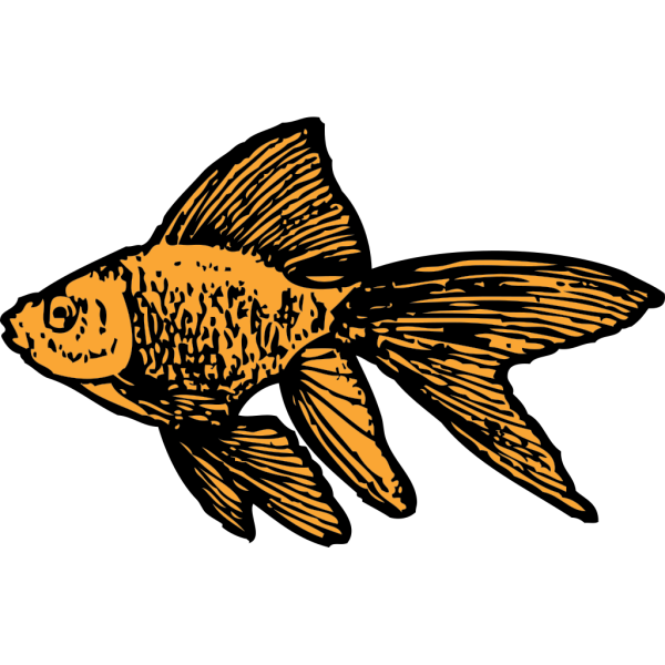 Goldfish PNG Clip art
