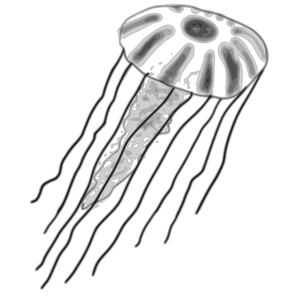 Blue Jellyfish PNG Clip art