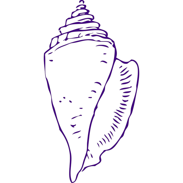 Seashell PNG images
