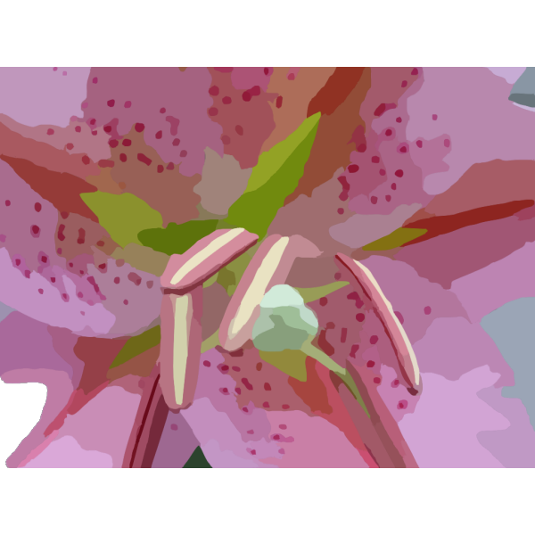 Flowers PNG Clip art